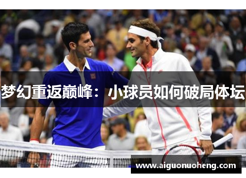梦幻重返巅峰：小球员如何破局体坛